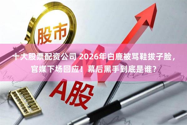 十大股票配资公司 2026年白鹿被骂鞋拔子脸,官媒下场回应!幕后黑手到底是谁?